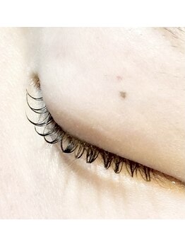 エムアンドエヌ(m&n)/カールデザイン/まつ毛パーマ