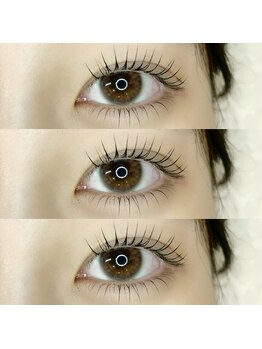 プリズム(PRISM)/ラッシュリフト上下