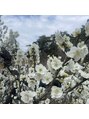 ドロウ(DLAW) お花を見たり季節を感じることが好きでアートにも生かしてます。