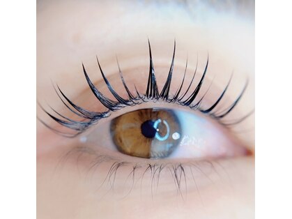 アーラ(Alas)の写真