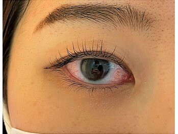 ルピナス(Lupinus)/ラッシュリフト