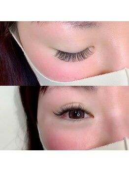 ルピナス(Lupinus)/LEDボリュームラッシュ500本