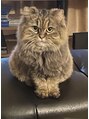 回復ポイント&nbsp;ネコ