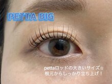 プラスアイ 武蔵小杉店/Pettaロッド