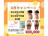 【11月キャンペーン】セルゼロ半身2回+サプリプレゼント