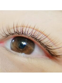 アイラッシュ バイ アイル(eyelash by ilu)/フラットラッシュ120本