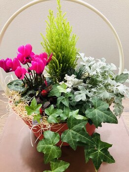 ネイルケア 素爪/