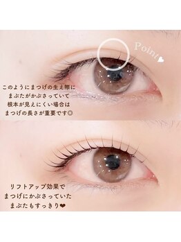 ラス 恵比寿(Las)/パリジェンヌラッシュリフト