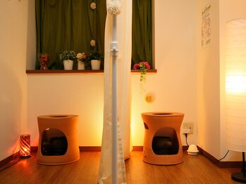 レイジー(Raygee.)