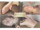 リチア(RICHIA)の写真