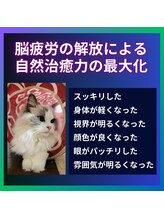 まぶ屋/脳疲労解放で自然治癒力を最大化
