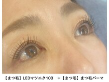 ヴィラアンドテラス(Villa×terrace)/LEDマツエク100 ＋ マツパ