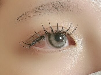 リファーレ 代々木(RIFARE)/LDカール 120本