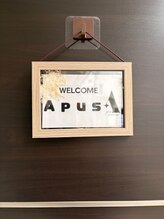 アプス(Apus)/サロンの目印