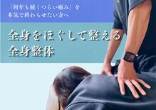 全身整体