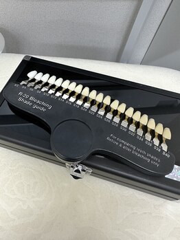 ルナ(LUNA)/スケールでチェック