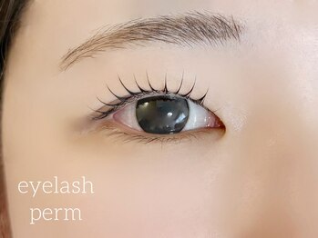 エム(emu)/まつ毛パーマ/ラッシュリフト