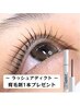 《新規限定／店販5％OFF》 まつ毛パーマ＋ラッシュアディクト1本付き!