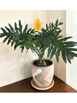 ネイルケア 素爪/