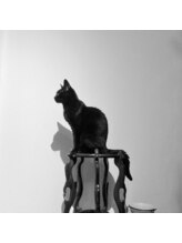 猫の手(ne.co.note) 細谷 HOSOYA