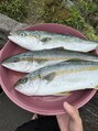 健康工房たいよう整骨院&nbsp;焼き魚、刺身、煮付け何でも好きです！