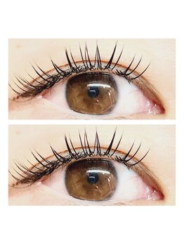 キャンアイドレッシー 下赤塚店/フラットラッシュ１２０本