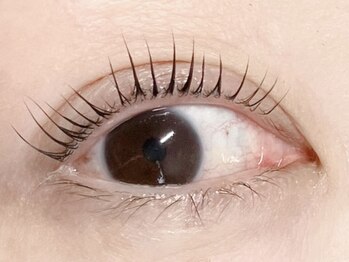 ブルーム(Bloom.)/まつげパーマ