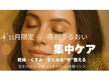 プラセル(PLACER)