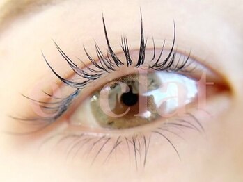 エクラ(e'clat)の写真/【eyelash&nailサロンが東伏見にNEWOPEN】目元の形や印象に合わせたデザインをご提案★初めての方も大歓迎!