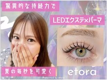 エトラ 渋谷(etora)の雰囲気（パリエク/エクパーマ/LED/マツエク）