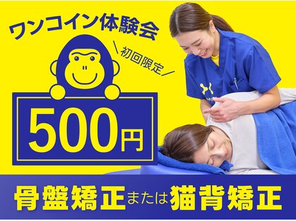 ほねごり接骨院 はりきゅう院 秦野曽屋院の写真