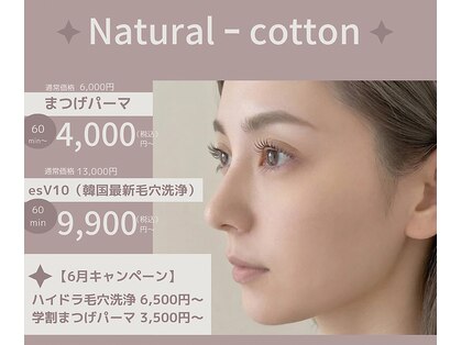 ナチュラルコットン(Natural - cotton)の写真