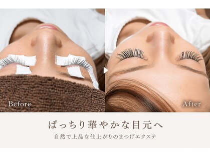 ティーエイト(T-8)の写真