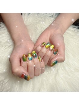 ヴィヴィア(VIVIA)/マグネットネイル♪