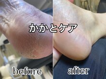 レヴィア(Revia)/