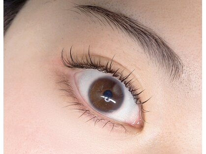 アルセア(ALTHAEA)の写真