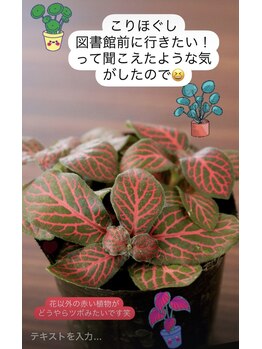こりほぐし 図書館前/植物たち