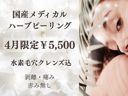 モア(MOA)の写真