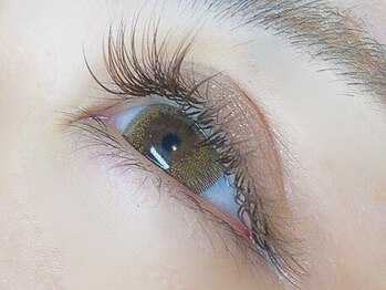 ブリッジバイネオリーブ 綱島店(bridge by neolive)/ブラウンエクステ ◆