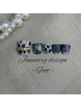 26年1月フット定額