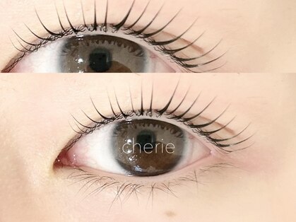 シェリー(cherie)の写真