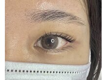 ジョリー(Jolie)/