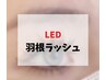 ▼▼▼静岡初導入！羽根ラッシュ▼▼▼