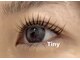 Tiny 美園店【ティニー】の写真