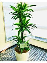 ネイルケア 素爪/