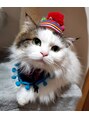 サンティタムの風&nbsp;ナイトマーケットで買った猫服。まんざらでもなさそうでした笑