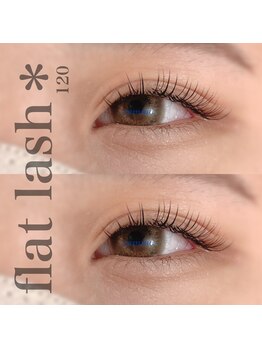 カミーノ(CAMINO)/