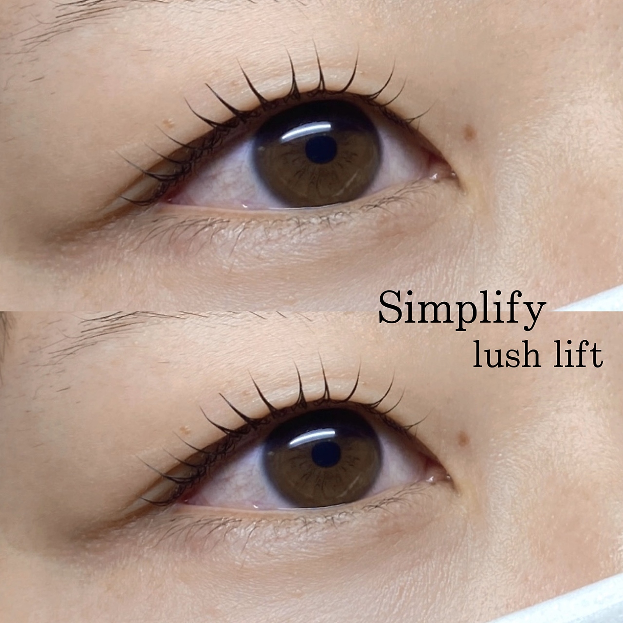 ウシワカマルエムティードット(USHIWAKAMARU MT.)/シンプリフィラッシュリフト