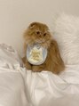シル ネイル 江坂(Cil nail) 猫様のために生きてます!
