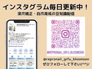 インスタグラム更新中!
